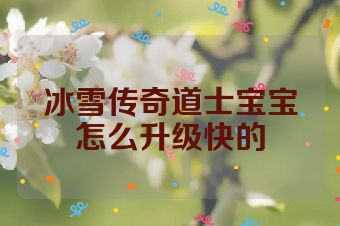 冰雪传奇道士宝宝怎么升级快的