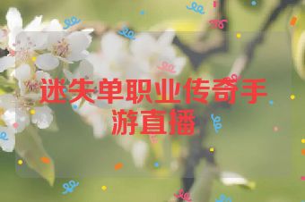 迷失单职业传奇手游直播