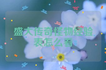 盛大传奇怪物经验表怎么看