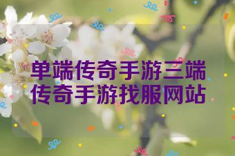 单端传奇手游三端传奇手游找服网站
