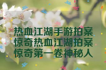 热血江湖手游拍案惊奇热血江湖拍案惊奇第一卷神秘人