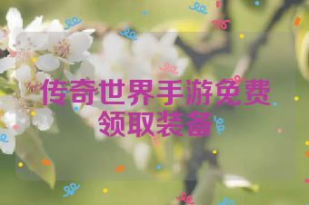 传奇世界手游免费领取装备