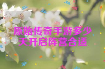 原始传奇手游多少天开启阵营合适