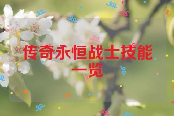 传奇永恒战士技能一览