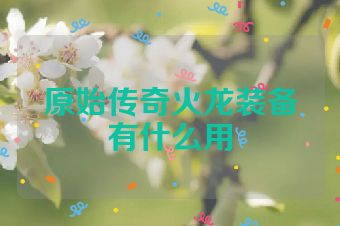 原始传奇火龙装备有什么用