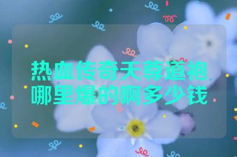 热血传奇天尊道袍哪里爆的啊多少钱