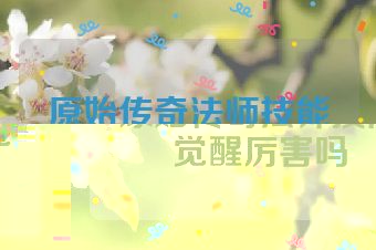 原始传奇法师技能觉醒厉害吗