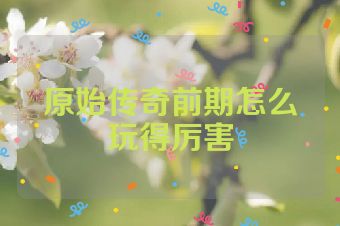 原始传奇前期怎么玩得厉害