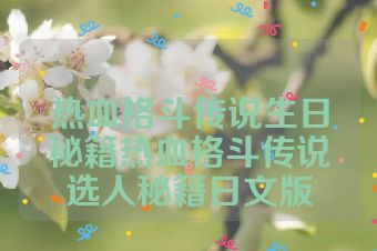 热血格斗传说生日秘籍热血格斗传说选人秘籍日文版