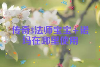 传奇3法师宝宝+诺玛在哪里使用