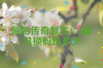 原始传奇复古1.76版兑换码是多少