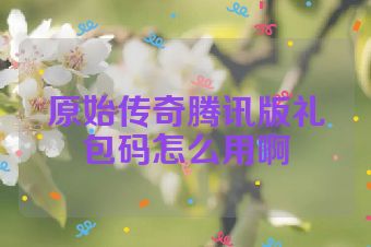 原始传奇腾讯版礼包码怎么用啊