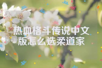 热血格斗传说中文版怎么选柔道家