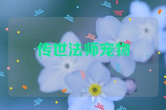 传世法师宠物