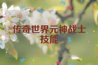 传奇世界元神战士技能