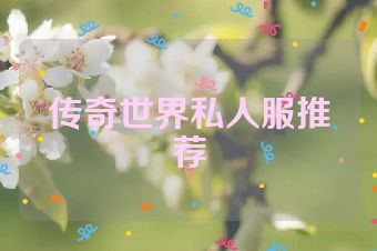 传奇世界私人服推荐