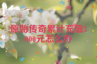 原始传奇累计充值3000元怎么办