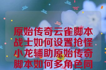 原始传奇云雀脚本战士如何设置抢怪小龙辅助原始传奇脚本如何多角色同步使用