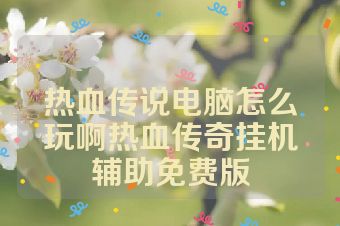 热血传说电脑怎么玩啊热血传奇挂机辅助免费版