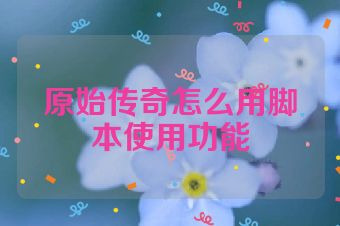 原始传奇怎么用脚本使用功能