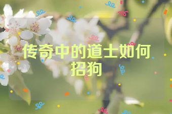 传奇中的道士如何招狗