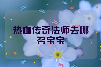 热血传奇法师去哪召宝宝