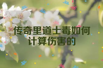 传奇里道士毒如何计算伤害的