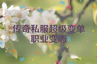 传奇私服超级变单职业变态