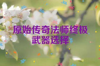 原始传奇法师终极武器选择