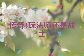 传奇4玩法师还是战士