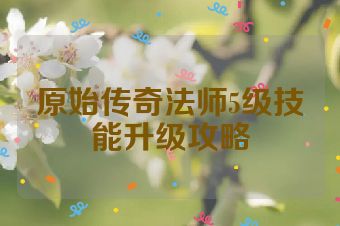 原始传奇法师5级技能升级攻略
