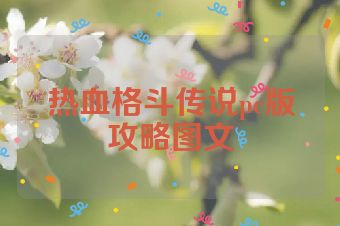 热血格斗传说pc版攻略图文