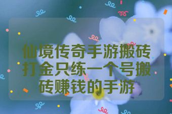 仙境传奇手游搬砖打金只练一个号搬砖赚钱的手游