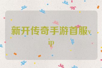 新开传奇手游首服vip