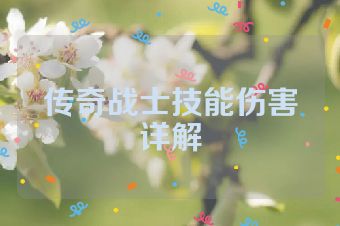 传奇战士技能伤害详解