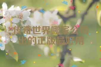 传奇世界哪家公司出的正版最好用
