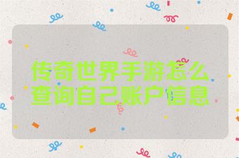 传奇世界手游怎么查询自己账户信息