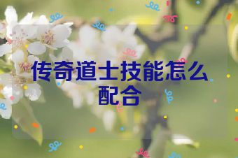 传奇道士技能怎么配合