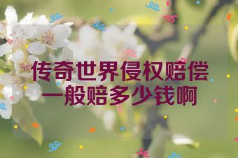 传奇世界侵权赔偿一般赔多少钱啊