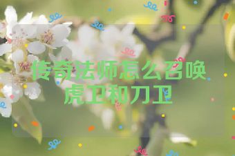 传奇法师怎么召唤虎卫和刀卫