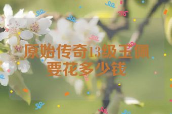 原始传奇13级玉佩要花多少钱