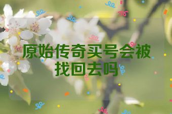 原始传奇买号会被找回去吗