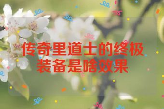 传奇里道士的终极装备是啥效果