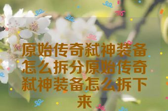 原始传奇弑神装备怎么拆分原始传奇弑神装备怎么拆下来