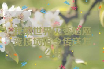 我的世界灾变焰魔竞技场指令传送怎么用