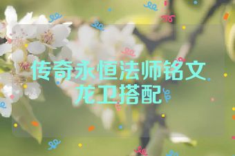 传奇永恒法师铭文龙卫搭配