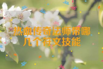 热血传奇法师带哪几个符文技能