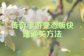 传奇手游变态版快速通关方法