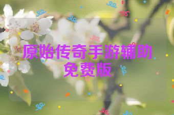原始传奇手游辅助免费版