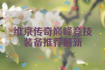 维京传奇巅峰竞技装备推荐最新
